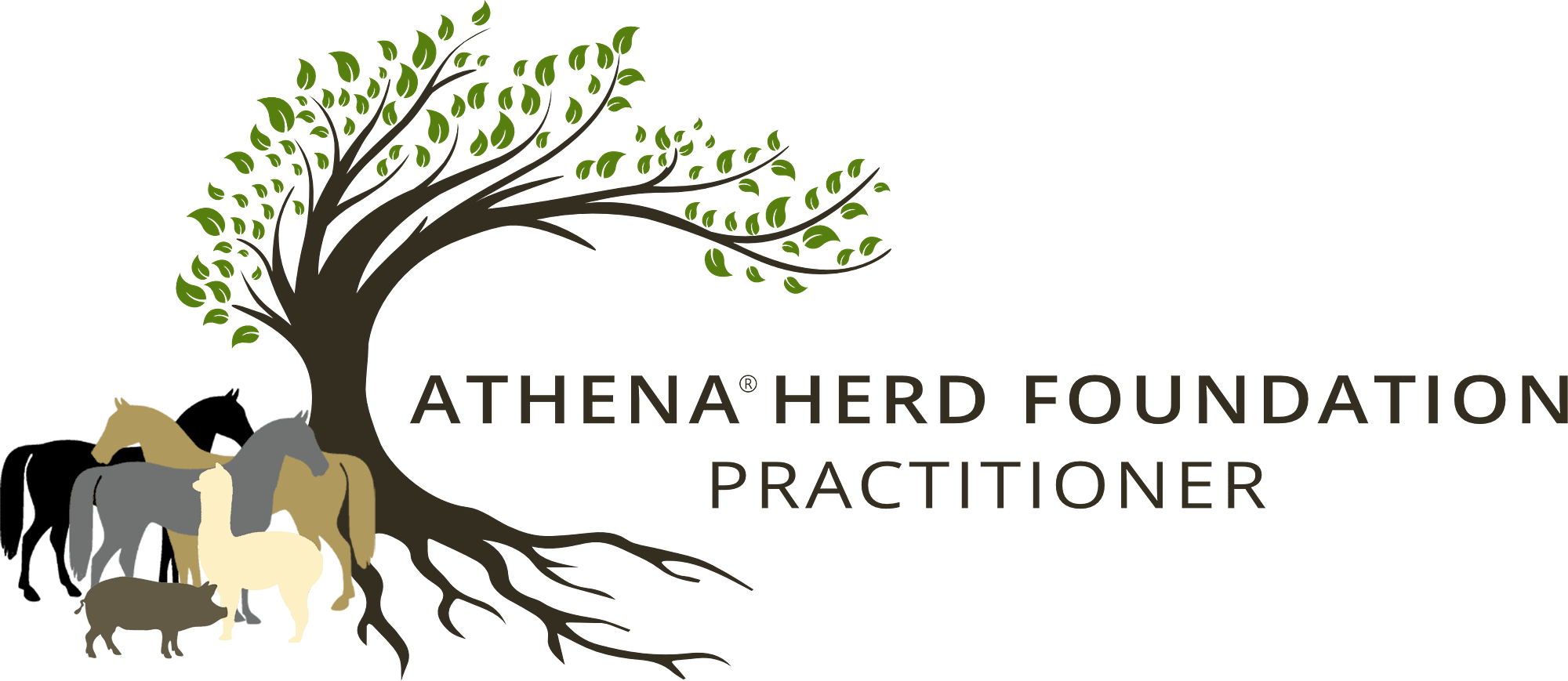 Athena️ Logo – Long Versoin Flipped – Practitioner